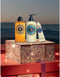 L'Occitane Shea Experience Collection