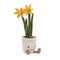 JELLYCAT AMUSEBLE DAFFODIL